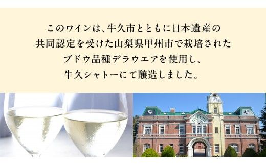 青デラ 750ml ワイン 白ワイン 白 酒 牛久シャトー デラウエア