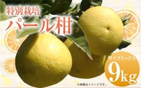 【先行受付】特別栽培パール柑（天草文旦） 9kg サイズミックス パール柑 文旦 天草文旦 柑橘 フルーツ 果物 果実 九州産 熊本県産【2027年2月下旬から4月上旬発送予定】