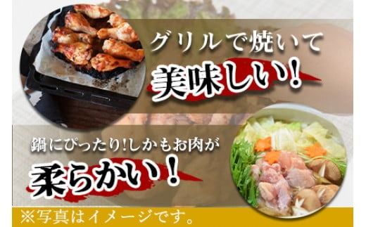 ＜万能手羽塩こうじ漬け 8kg（1kg×8袋）＞ ※入金確認後、翌月末迄に順次出荷します。【c813_bn_x4】