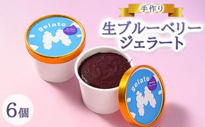 ×廃盤×手作り生ブルーベリージェラート6個入り ※離島への配送不可