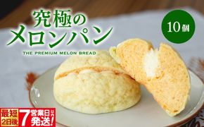 自慢の逸品!! 究極のメロンパン 10個入×1箱 K2664