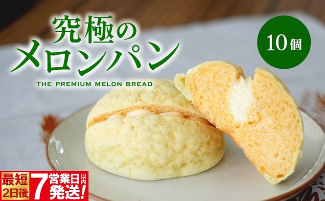 自慢の逸品!! 究極のメロンパン 10個入×1箱 K2664