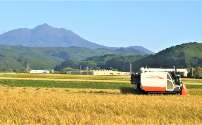 米 令和8年産 はれわたり 白米 5kg 1袋 精米 こめ お米 おこめ コメ ご飯 ごはん 特A 特A米 令和8年 山下農園 青森 青森県 鯵ヶ沢町