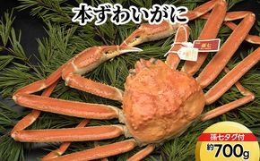 本ずわいがに約700g（孫七タグ付） ※2025年11月中旬～2026年3月中旬頃に順次発送予定