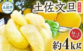 【先行予約】楠瀬さんの土佐文旦 家庭用 約4kg M～Lサイズ 9～13玉〈2027年2月15日～2027年4月5日発送〉 / ぶんたん ブンタン 文旦 フルーツ 柑橘 みかん 果物 くだもの 柑橘類 デザート お取り寄せ 国産 常温 配送【まる庄果樹園】[BQAF019]