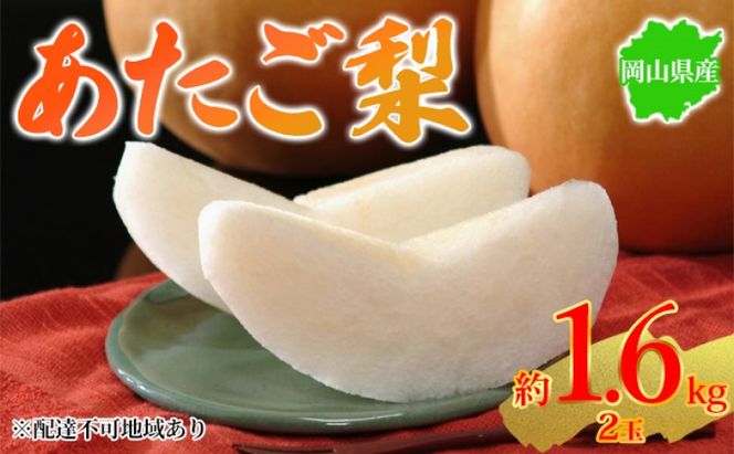 梨 2026年先行予約 岡山県産 あたご梨 約1.6kg 2玉 お届け 11月下旬～12月中旬