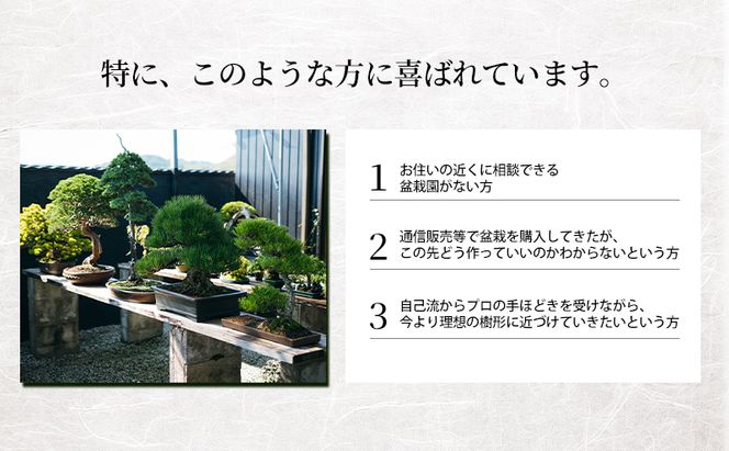 盆栽 翠松園 リザーブサービス 【あなたの盆栽に合わせた日々の管理をアドバイス】 チケット 体験チケット 