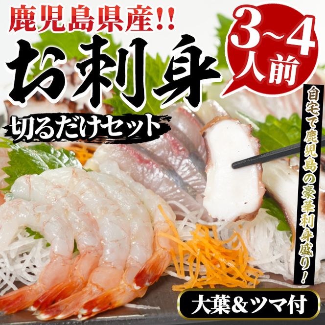 鹿児島県産！お刺身切るだけセット(3人～4人前)国産 刺し身盛 魚貝 魚介 海産物 刺身 蛸 たこ 海老 エビ かんぱち タイ 簡単調理 おつまみ セット 小分け 個包装【さるがく水産】akn028-05