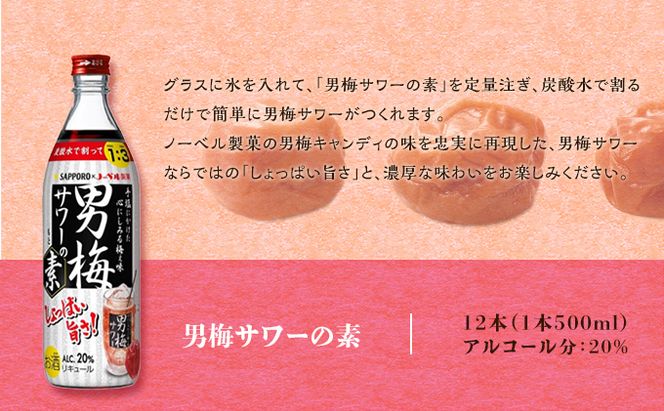 サッポロ 男梅サワー の素 12本（1本500ml） 男梅 サワー 梅味 お酒 原液 家飲み 宅飲み 晩酌 割りもの しょっぱい旨さ 濃厚な味わい 