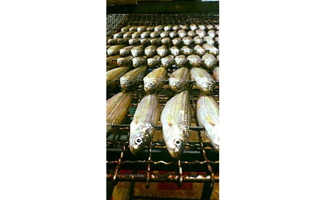 【琵琶湖に感謝！鮮・技・美味！　琵琶湖産　天然本もろこ使用】酢もろこ（本もろこ酢漬）　【D016W】