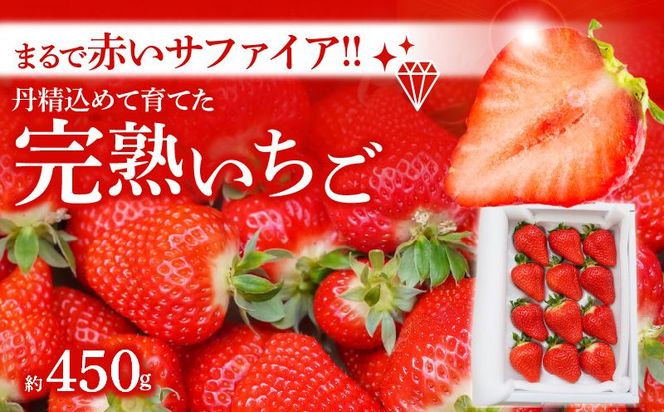 （予約受付中）【12月以降順次発送】まるで赤いサファイア!!丹精込めた完熟いちご!! 約450g H130-016