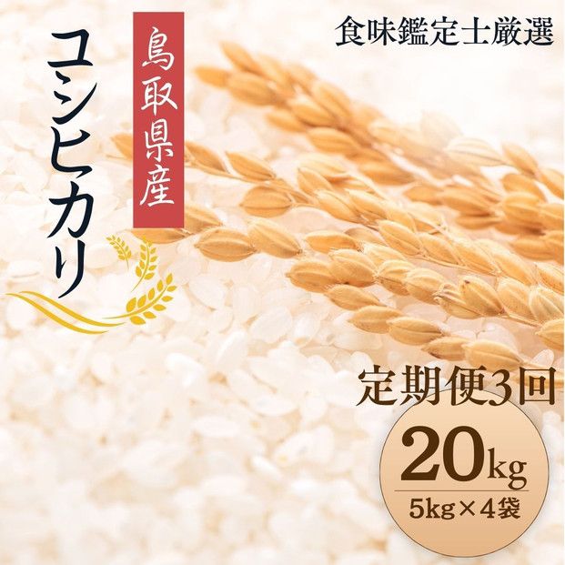 y挧khz1094.y֑S3zyߘa7NYVāzyHӒmIz 挧Y RVqJ20kg (5kg×4) v 60kg 313726_CE009