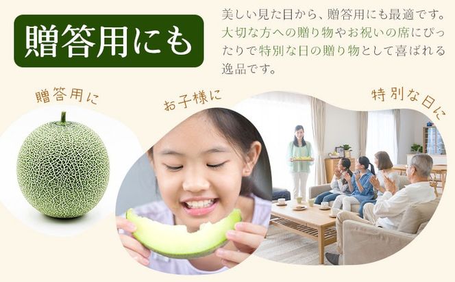 肥後グリーンメロン 1玉 熊本 株式会社エフビーネット《4月上旬-7月上旬頃出荷》熊本県 氷川町 果物 フルーツ 熊本県産 メロン 肥後グリーン めろん---hkw_efb_1_1p---