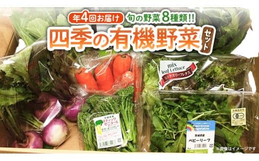 【 定期便 年4回お届け！】四季の 有機野菜 色とりどりセット  野菜 野菜セット 詰め合わせ 有機 無農薬 JAS認定 無化学肥料 おまかせ 野菜スティック レインボーフューチャー [AL001ci]