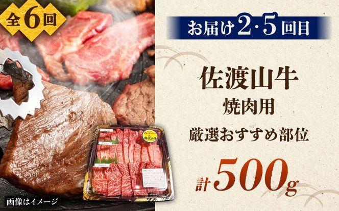 【全6回定期便】沖縄ブランド牛を堪能！贅沢お肉定期便【沖縄市】牛肉 和牛 サーロインステーキ 焼肉 赤身 沖縄市 / 肉のサブロー / お肉屋本店[BCZZ028]