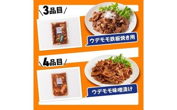 小分けで使いやすい！さんきょうみらい豚満喫セット 【 しゃぶしゃぶ 切り落とし ウデ モモ 鉄板焼 餃子 生ハム切り落とし ハンバーグ 】 [E0102a]