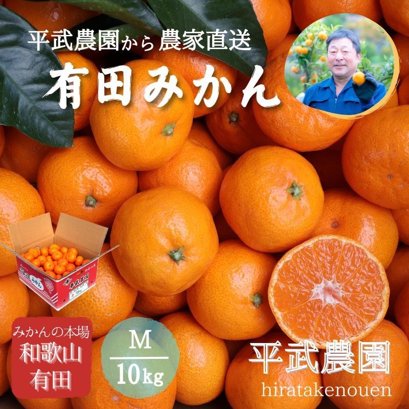 農家直送!有田みかん(10kg Mサイズ 秀品)平武農園 〜蛍飛ぶ町から旬の便り〜BX04