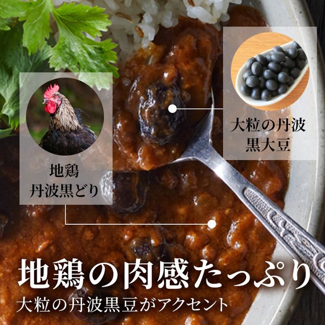 キーマカレー 地鶏丹波黒どりと丹波黒大豆のキーマカリー 10食セット 最短4日以内発送