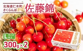 先行受付 さくらんぼ 佐藤錦 300g×2P 計600g Lサイズ 北海道 仁木町　国産 旬のフルーツ 旬の果物 デザートサクランボ チェリー フルーツ 果物 果物類 仁木 [カムナビファーム]