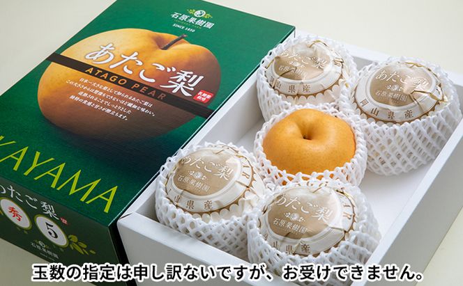 シャインマスカット あたご梨 フルーツ 定期便 2回 コース ぶどう 梨 岡山 果物 先行予約 2026年 岡山県 なし ナシ 人気 新鮮 ギフト 旬