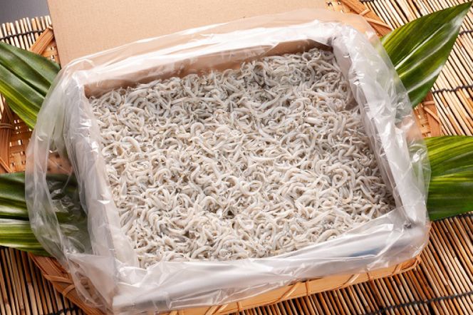 釜揚げしらすとしらす干し ２kgセット（500ｇ×4箱）セット 国産 魚介類 冷凍 無添加 添加物不使用 魚 さかな しらす しらす干し 白洲 ごはん 丼 惣菜 おかず 弁当 国産 大洗町産 冷凍 名産 特産 魚介 海鮮