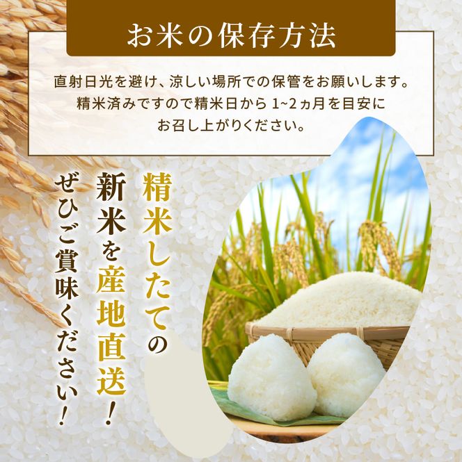 ひとめぼれ 定期便3回/5kg×1袋 令和8年産 新米 先行予約 宮城県産 米 精米 白米