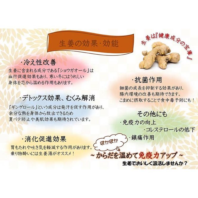 【定期便/3か月ごと/全3回】紀州金山寺漬黄金色の生姜入り（350g×2）