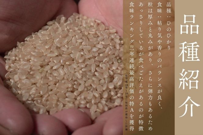 天日干し米ひのひかり5kg〈栽培期間中農薬・肥料不使用〉【ほのわ】_HA1610