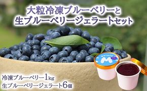 大粒冷凍ブルーベリー1kgと手作り生ブルーベリージェラート6個セット ※離島への配送不可