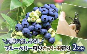 同時に楽しめる！ブルーベリー狩り・カブト虫狩り 長野県下最大級 体験チケット