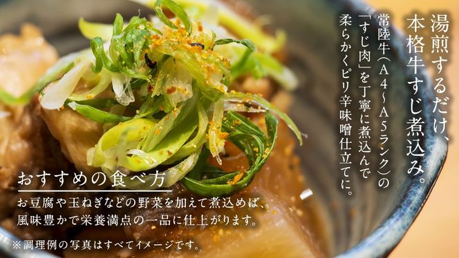 やわらか 常陸牛 すじ 煮込み 250g × 6パック (計 1500g )【茨城県共通返礼品】　牛すじ 牛肉 肉 和牛 にく 牛すじ肉 [FE024us]