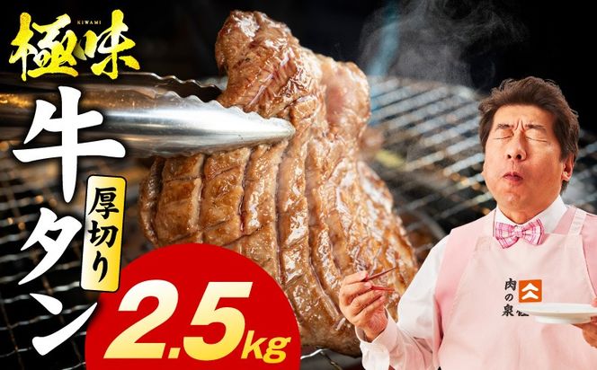 mrz0298 厚切り牛たん 2.5kg【氷温熟成×旨塩ダレ 味付き 訳あり サイズ不揃い 500g 小分け 焼くだけ 焼肉】