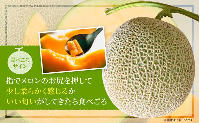 【2026年8月上旬から順次発送】【北海道産極旨メロン】妃メロン 2玉 メロン 旬 野菜 赤肉 ジュース アールスメロン 産地直送 せたな町 ふるさと納税