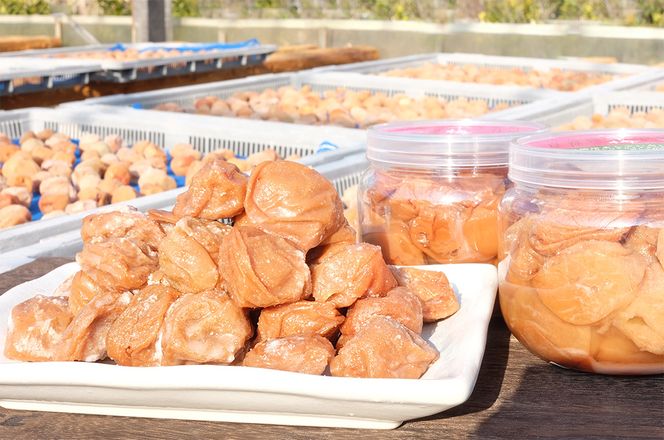 無添加 塩だけ 昔ながらの梅干し 南高梅 紀州梅香 完熟 白干し梅 訳あり つぶれ梅1kg （500gパック×2個） 塩分20% 20-G ［KU14］ 303446_ED90013