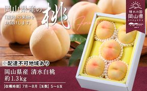 桃 2026年 先行予約 清水白桃 約1.3kg 5～6玉 もも モモ 岡山県産 国産 フルーツ 果物 ギフト