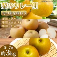 【旬の梨を味わう】熊本県産 リレー便 (各5～7個 )(約3kg)(1回目)筑水(2回目)あきづき(3回目)甘太 梨 フルーツ 詰め合わせ 食べ比べ 甘い 濃厚 農家直送 ギフト 贈答用 家庭用 お取り寄せ 熊本県