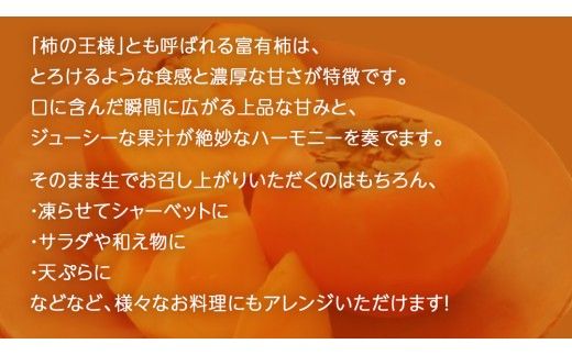 富有柿 約10kg (36～42玉)【2026年11月上旬発送開始】(茨城県共通返礼品：大子町) 柿 かき フルーツ 果物 秋の味覚 旬