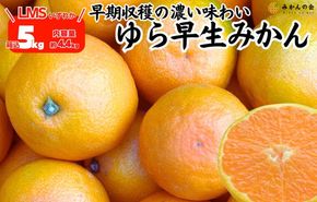 ゆら早生 みかん 箱込5kg(内容量 4.4kg) SMLサイズのいずれか 秀品 優品 混合 有田みかん 和歌山県産 【みかんの会】［2026年10月下旬頃より順次発送予定］ 	AX363