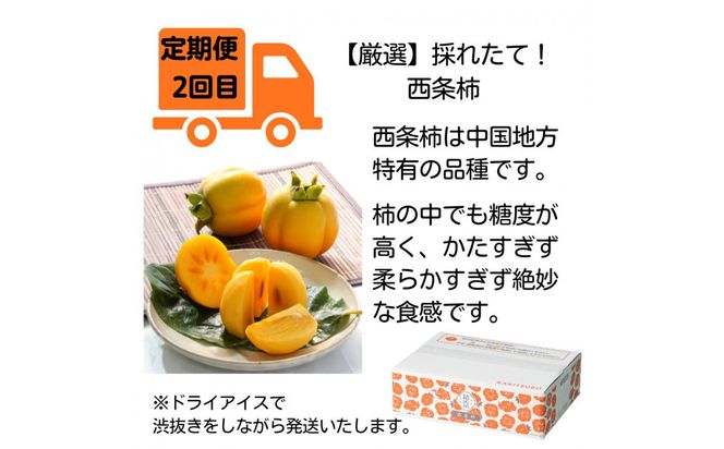 【全4回定期便】【柿専業の農家が作る】出雲の柿3種と旬をたのしむごほうび【2026年10月以降発送】 322032_BK009
