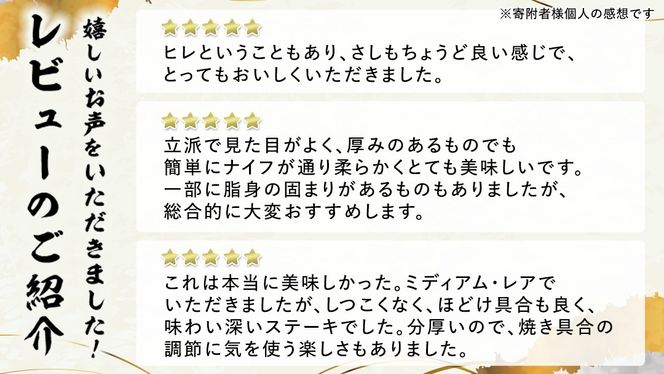 【 常陸牛 】 ヒレステーキ 450g ( 150g × 3枚 ) ステーキ ヒレ ヒレ肉 牛肉 ブランド牛 A4 A5 お肉 肉 黒毛和牛 和牛 国産黒毛和牛 国産牛 希少部位 焼肉 焼き肉 バーベキュー BBQ (茨城県共通返礼品) [BX03-NT]