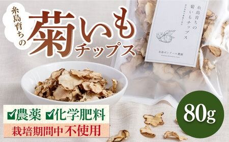糸島 育ちの 菊いも チップス 80g×1袋 糸島市 / 糸島ボンテール農園 [ACO004] 糸島産 菊芋 キクイモ チップス 無添加 無農薬