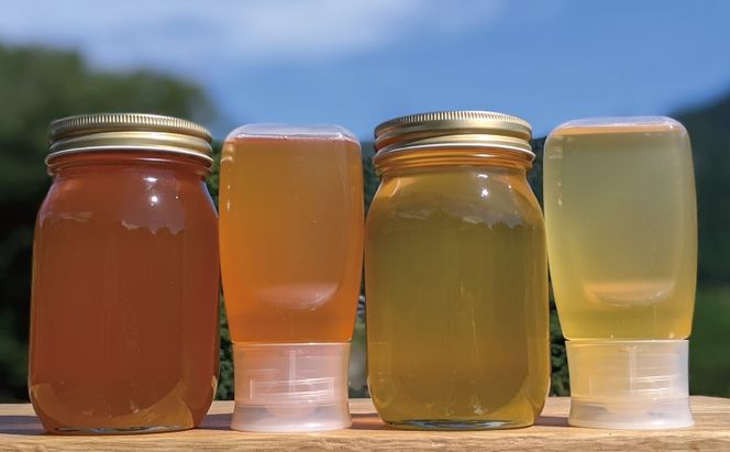 合計1800g 天然蜂蜜 国産蜂蜜 非加熱 生はちみつ 岐阜県 美濃市産 味比べセット (蜂蜜600g入りガラス瓶各2本、蜂蜜300g入りピタッとボトル各2本)C8 深田養蜂のハチミツ