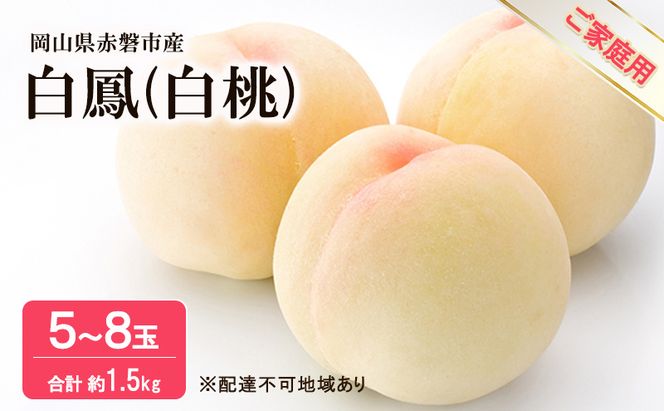 桃 2026年 先行予約 白桃 白鳳 約1.5kg 5～8玉 ご家庭用 フルーツ 果物 岡山 赤磐市産