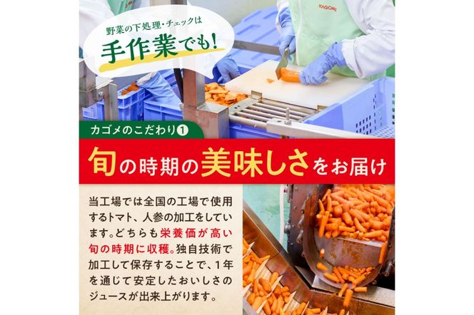 ns001-021　【定期便6ヵ月】カゴメ　野菜ジュース　食塩無添加　160g缶×30本 1ケース 毎月届く 6ヵ月 6回コース【 栃木県 那須塩原市 】