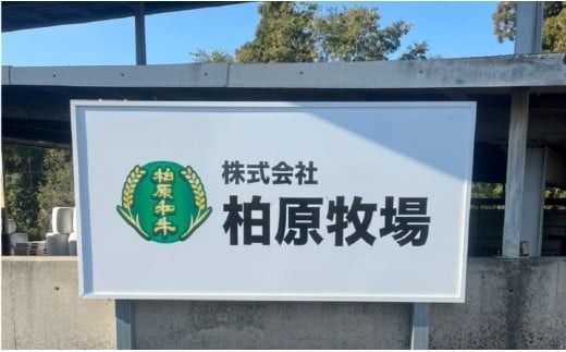 【自社農場宮崎牛】柏原和牛モモ しゃぶしゃぶ・すき焼き用 1キロ（国産 牛肉 お肉 ブランド牛 黒毛和牛 すき焼き しゃぶしゃぶ A4 A5）