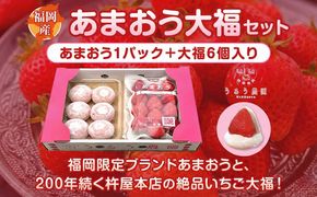 いちご 2026年2月より発送 うるう農園のあまおう大福キット(あまおう1パック＋大福6個セット) 果物 和菓子 生菓子 苺大福 フルーツ 和スイーツ 特別栽培 福岡県産 おやつ ※配送不可：離島