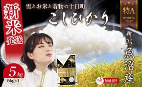 【令和8年産 新米】 無地のし 新潟県 魚沼産 コシヒカリ お米 5kg 精米済み（お米の美味しい炊き方ガイド付き）白米  こしひかり 食品 人気 おすすめ 送料無料 魚沼 十日町 新潟県 精米 産直