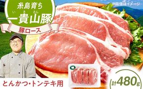 一貴山豚 ロースとんかつ・トンテキ用 計480g(120g×4枚) 糸島市 / いきさん牧場 豚肉 冷凍[AGB030] 豚肉 豚 ブランド豚 一貴山豚 ポーク ロース 生姜炒め ポークジンジャー