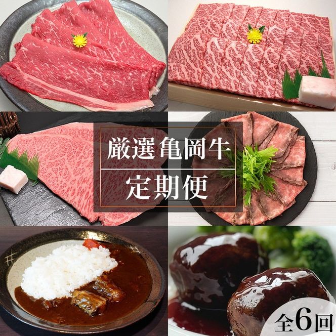 ys{TszyS6ցzT  TXI y Hה Zbg Ⓚ ē Ă T[C Xe[L [Xgr[t Ԑg    Y јa  s Og BBQ lC ߁ ւ̔zs