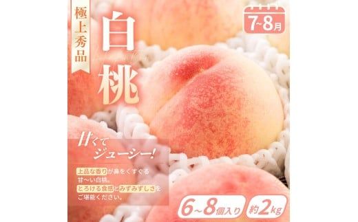 【フルーツ定期便・全3回】品質に自信あり！くしがきの里から直送　桃・シャインマスカット・まりひめを季節ごとにお届け! / 定期便 桃 もも シャインマスカット マスカット いちご イチゴ 苺 果物 フルーツ 3回【kgr037】